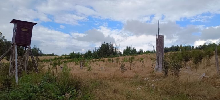 Waldgenossenschaft Waldgenossenschaft